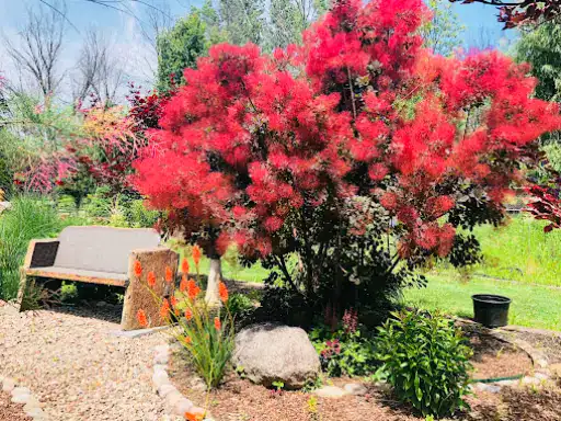 A peaceful garden shows beauty and calm, sparkling like a diamond from Winter Jewelry in Williamsville, New York.