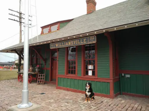 A dog waits outside Winter Jewelry, showing the welcoming feel of Williamsville’s historic train station area.